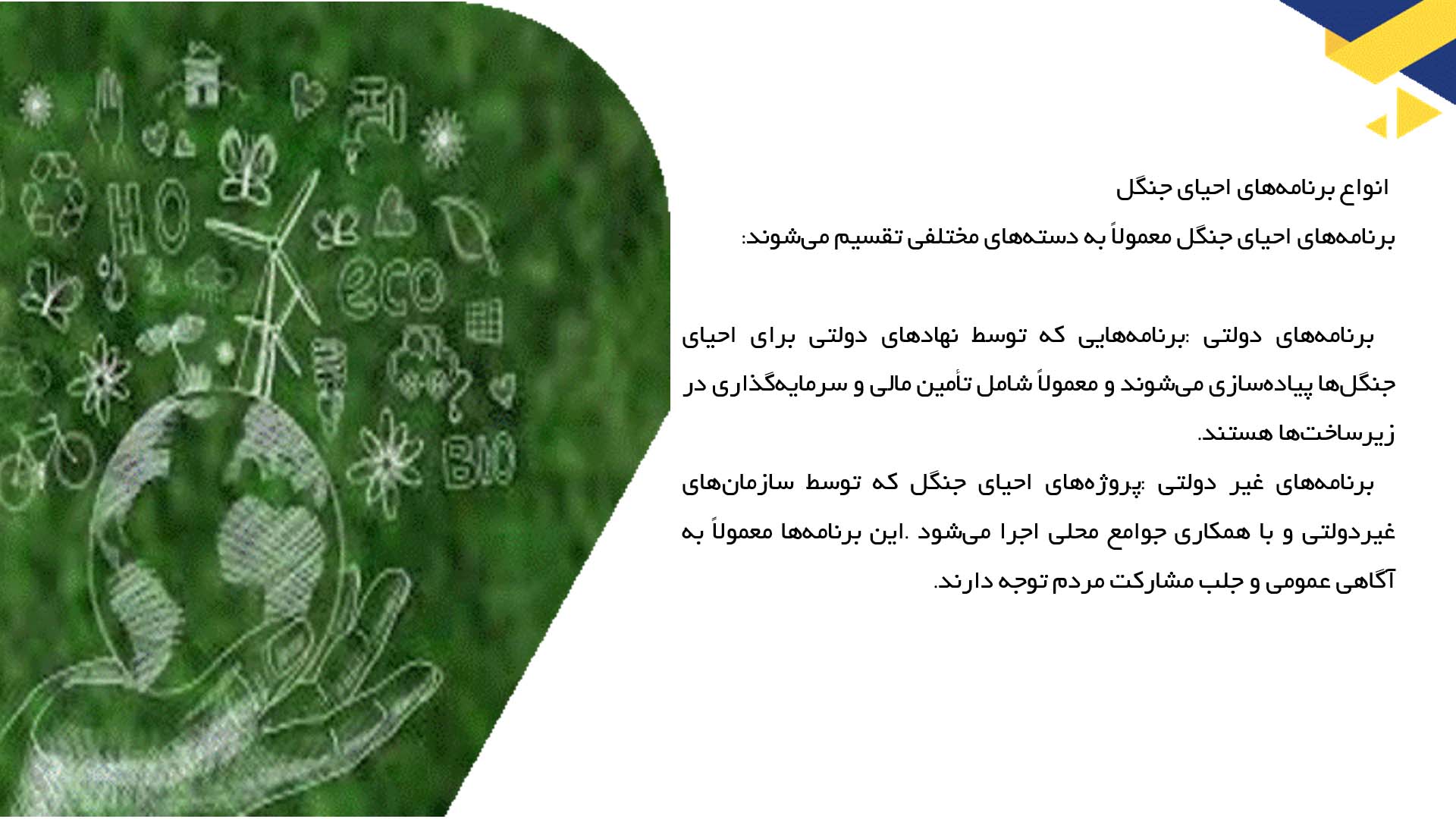 پاورپوینت در مورد بررسی برنامه‌های احیای جنگل